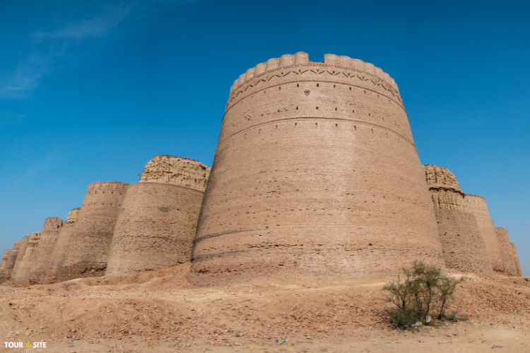 Untitled design (51)